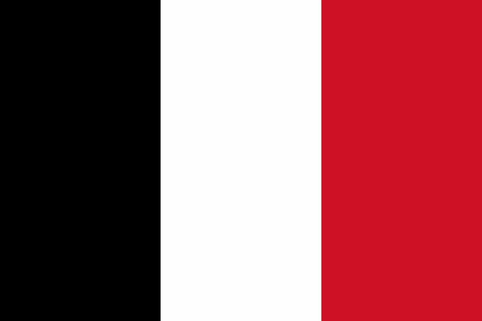 Bandera de República Romana (1798–1799), 1798 – 1799