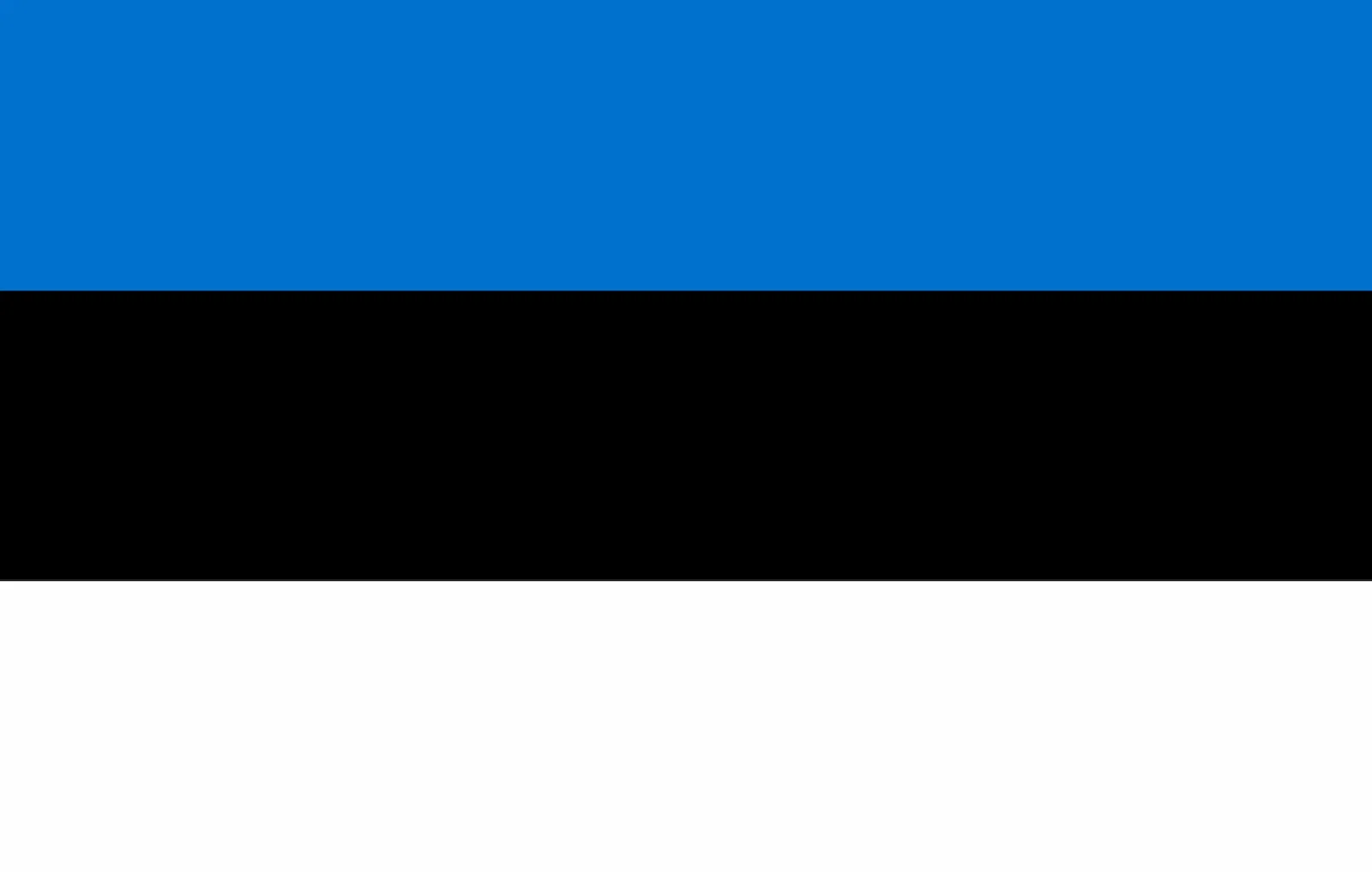 Bandera de República de Estonia, 1991 – hoy