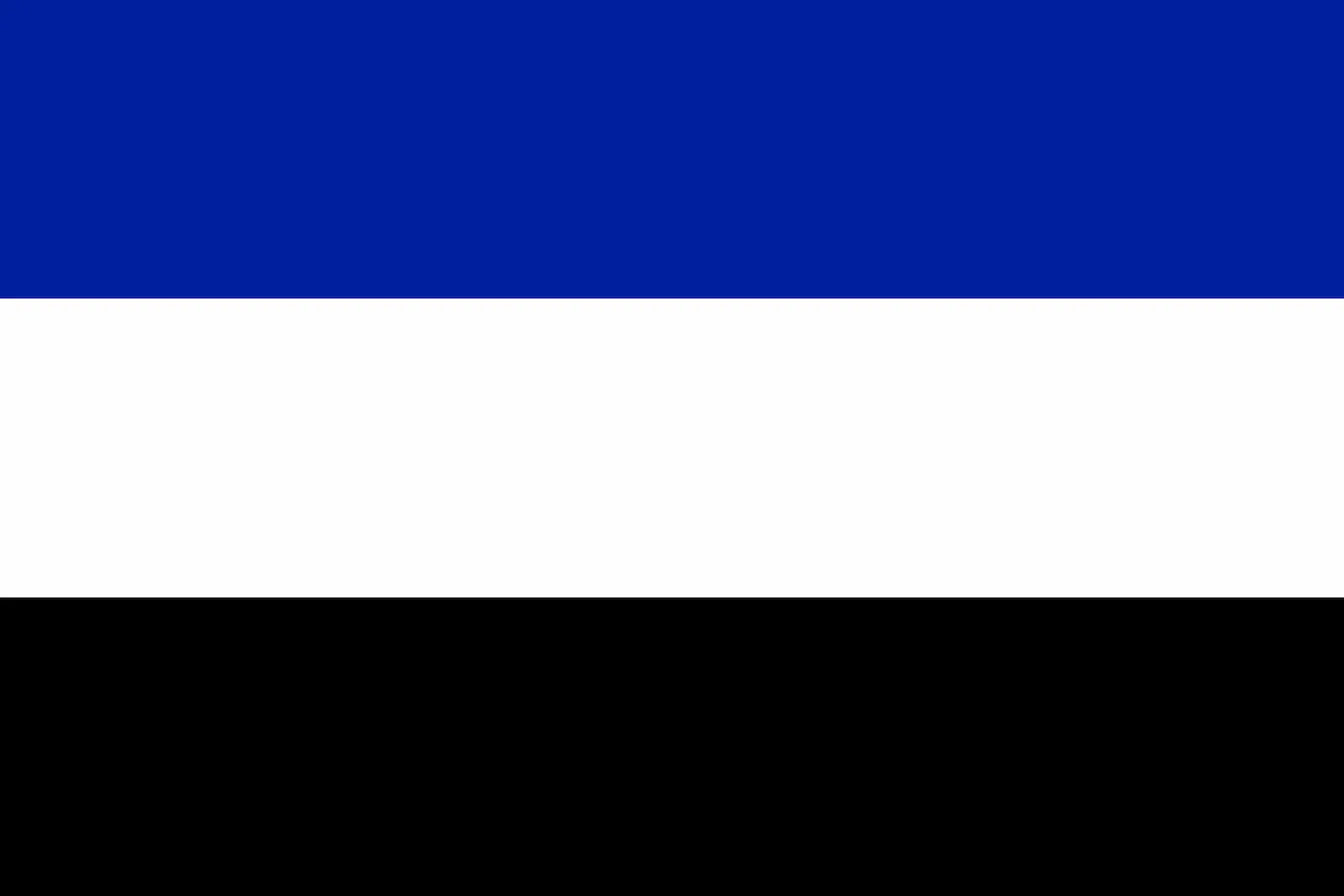 Bandera de Territorio de la Cuenca del Sarre, 1920 – 1935