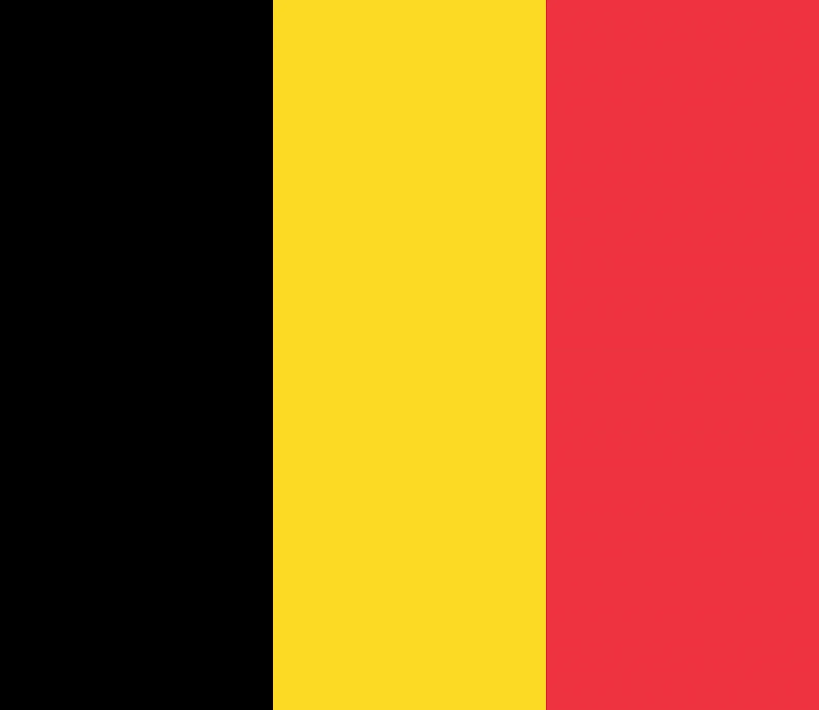 Bandera de Reino de Bélgica, 1993 – hoy